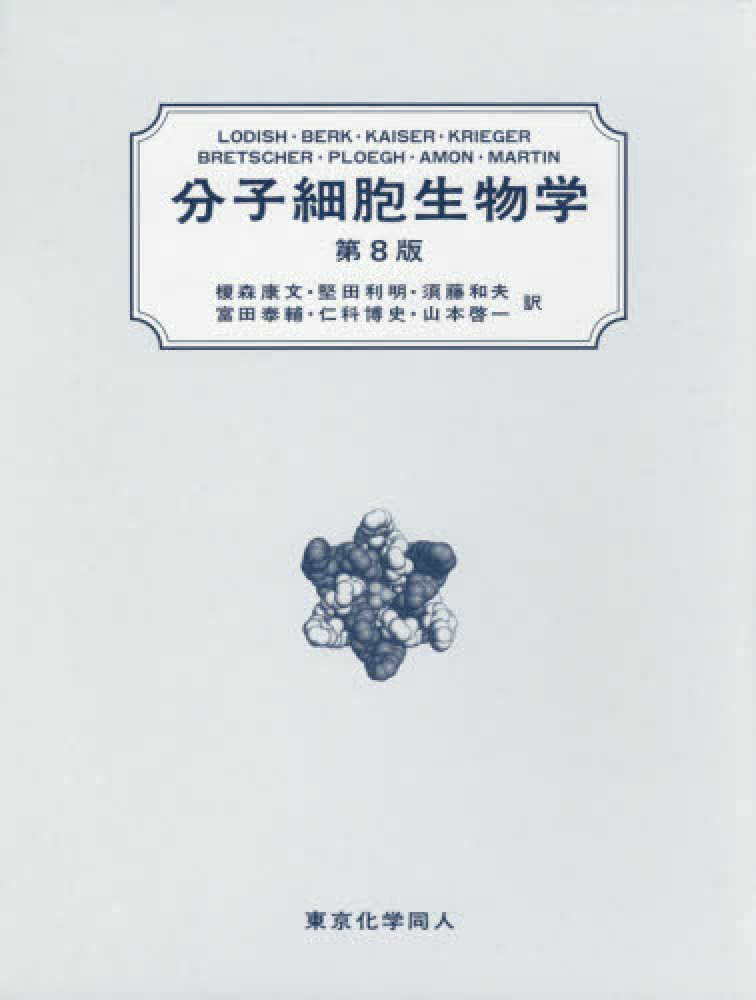 分子細胞生物学 / Ｌｏｄｉｓｈ，Ｈａｒｖｅｙ/Ｂｅｒｋ，Ａｒｎｏｌｄ