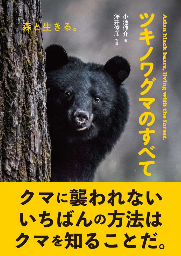 人気ブランド ツキノワグマのすべて / 小池 伸介【著】/澤井 俊彦【写真 その他