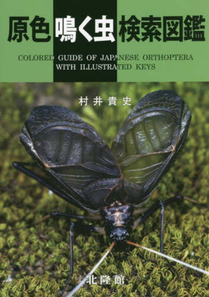 原色鳴く虫検索図鑑 | 村井貴史 |本 | 通販 | Amazon