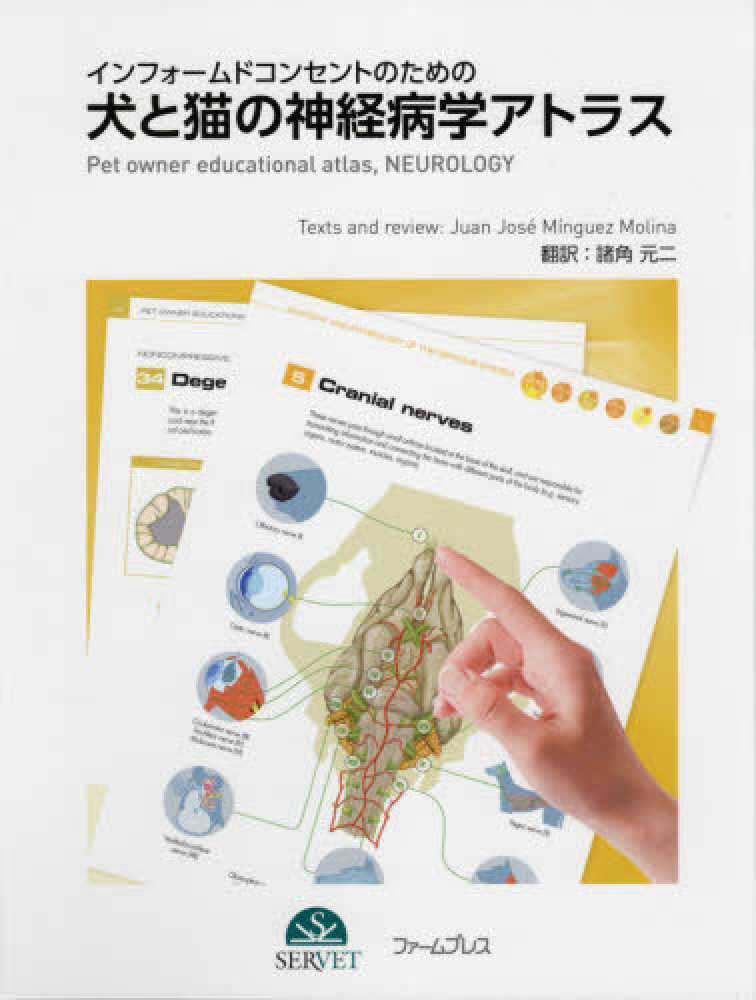 犬と猫の神経病学 各論編 DAMNIT-V分類と代表的疾患 犬と猫の神経病学 各論編 DAMNIT-V分類と代表的疾患