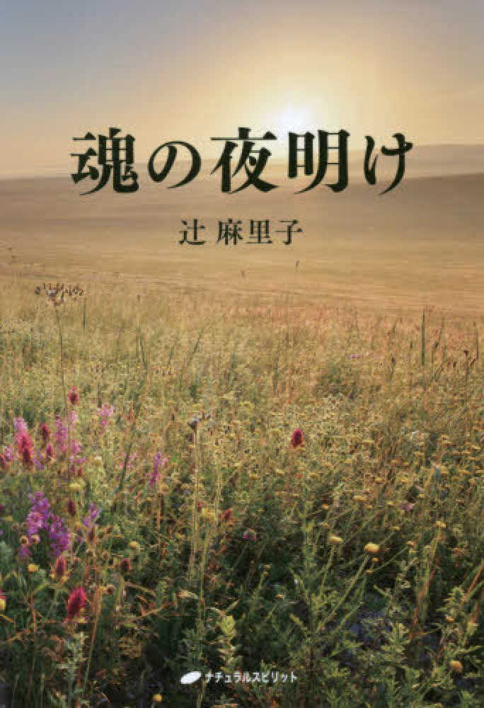 魂の夜明け 辻 麻里子 著 紀伊國屋書店ウェブストア オンライン書店 本 雑誌の通販 電子書籍ストア