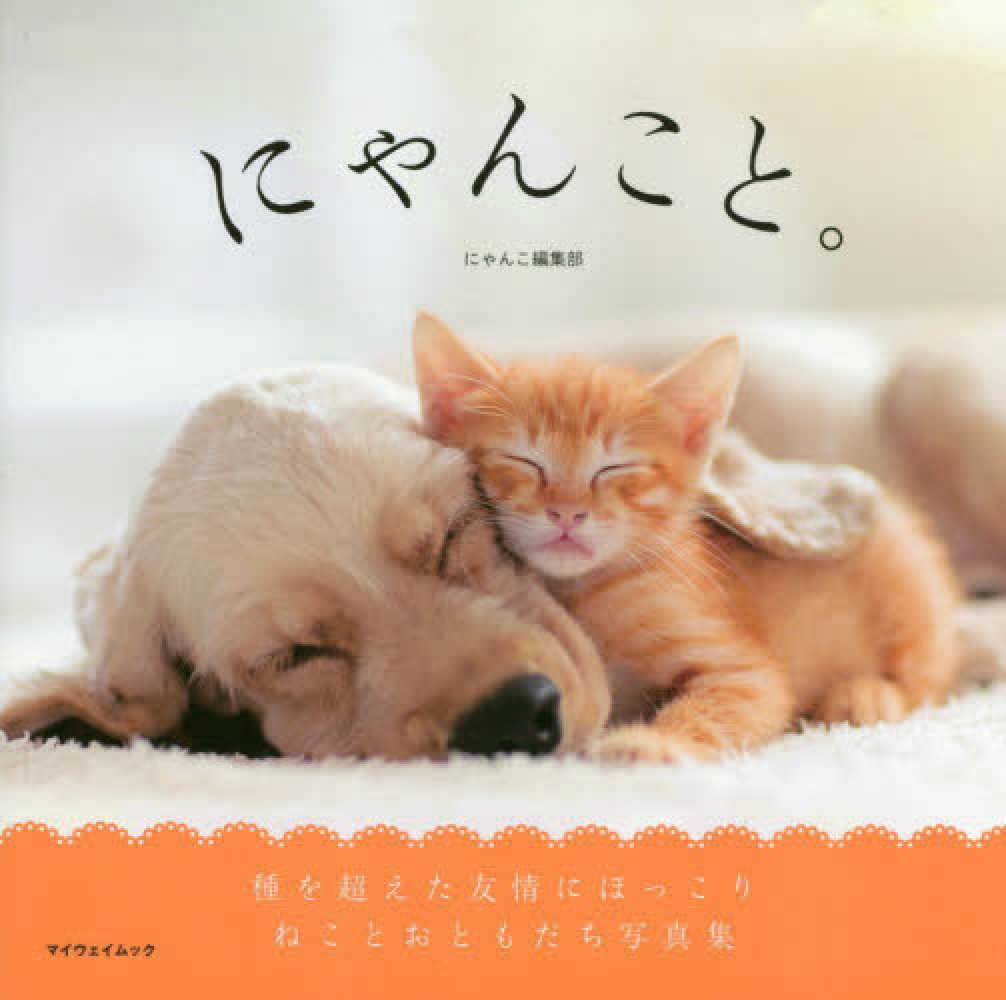 にゃんこと 紀伊國屋書店ウェブストア オンライン書店 本 雑誌の通販 電子書籍ストア
