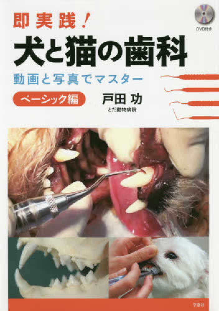 ▲01)【同梱不可】【希少本・動画CD付き】ステップアップ犬と猫の臨床歯科 口腔疾患の治療 ビジュアル解説/渡邊一弘/インターズー/獣医学/A Amazon.co.jp: はじめよう犬と猫の臨床歯科 : 渡邊 一弘: 本