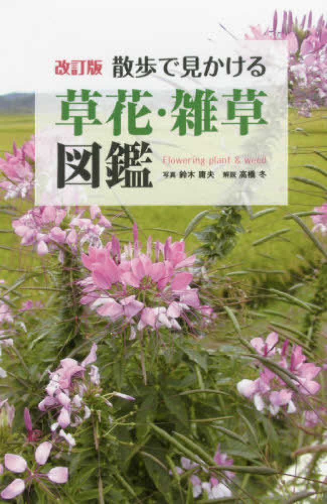 散歩で見かける草花 雑草図鑑 鈴木 庸夫 写真 高橋 冬 解説 紀伊國屋書店ウェブストア オンライン書店 本 雑誌の通販 電子書籍ストア