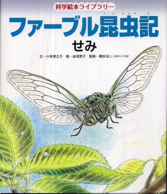ファ ブル昆虫記 せみ 小林 清之介 文 金尾 恵子 絵 橋本 洽二 監修 紀伊國屋書店ウェブストア オンライン書店 本 雑誌の通販 電子書籍ストア