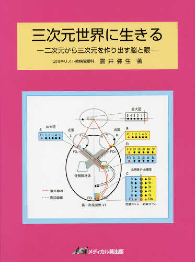 三次元世界に生きる 雲井弥生 紀伊國屋書店ウェブストア オンライン書店 本 雑誌の通販 電子書籍ストア 三次元世界に生きる 雲井弥生 紀伊國屋書店ウェブストア オンライン書店 本 雑誌の通販 電子書籍ストア