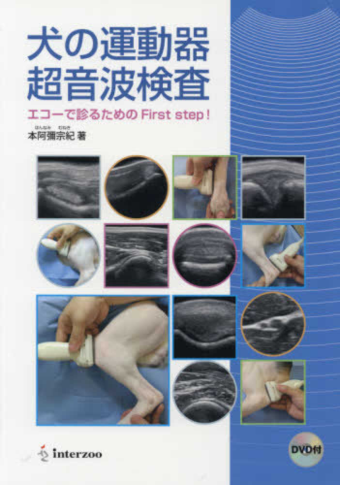 犬の運動器超音波検査BASIC DVD / 本阿彌宗紀