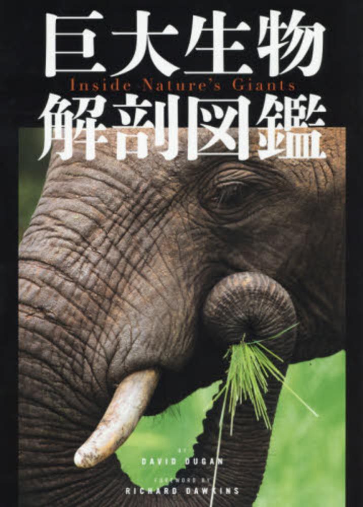 巨大生物解剖図鑑 デュガン デイヴィッド ほか著 dugan david 五十嵐 涼子 訳 窪寺 恒己 田島 木綿子 冨田 幸光 森 健人 吉川 夏彦 監修 紀伊國屋書店ウェブストア オンライン書店 本 雑誌の通販 電子書籍ストア 巨大生物解剖図鑑 デュガン デイヴィッド ほか著 dugan david 五十嵐 涼子 訳 窪寺 恒己 田島 木綿子 冨田 幸光 森 健人 吉川 夏彦 監修 紀伊國屋書店ウェブストア オンライン書店 本 雑誌の通販 電子書籍ストア