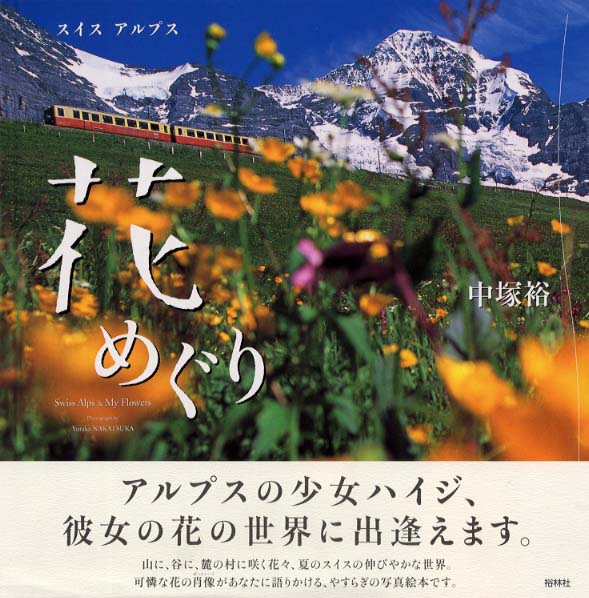 スイスアルプス花めぐり 中塚裕 紀伊國屋書店ウェブストア オンライン書店 本 雑誌の通販 電子書籍ストア スイスアルプス花めぐり 中塚裕 紀伊國屋書店ウェブストア オンライン書店 本 雑誌の通販 電子書籍ストア