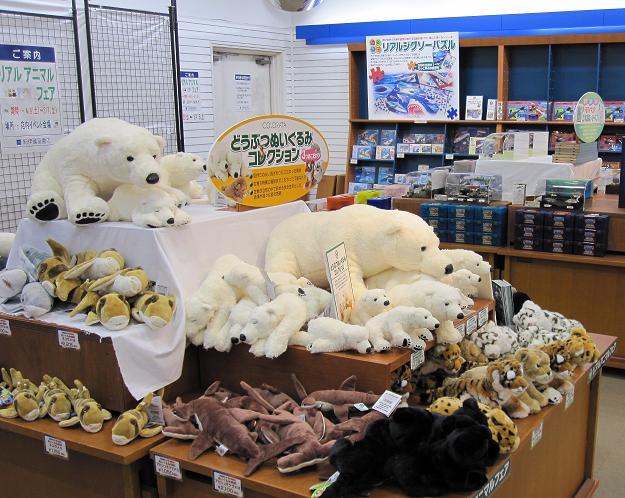 福岡本店 リアル系アニマルフェア開催中 ぬいぐるみ フィギュア ジクソーパズル 本の 今 がわかる 紀伊國屋書店