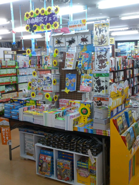 笹塚店 夏の自由研究 工作フェア開催中です 本の 今 がわかる 紀伊國屋書店 笹塚店 夏の自由研究 工作フェア開催中です 本の 今 がわかる 紀伊國屋書店