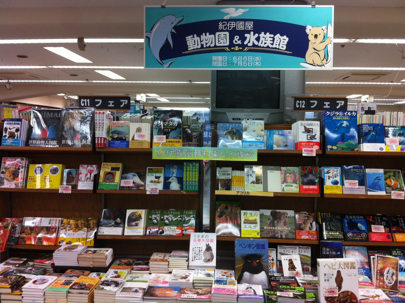 新宿本店 紀伊國屋動物園 水族館開園しました 12年7月5日 本の 今 がわかる 紀伊國屋書店 新宿本店 紀伊國屋動物園 水族館開園しました 12年7月5日 本の 今 がわかる 紀伊國屋書店